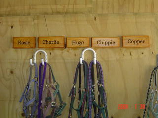 horse stable signs.  $150 - $185 + gst