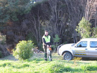 section clearing tree felling Akaroa