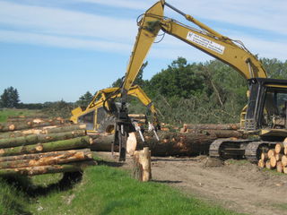 large timber logging
