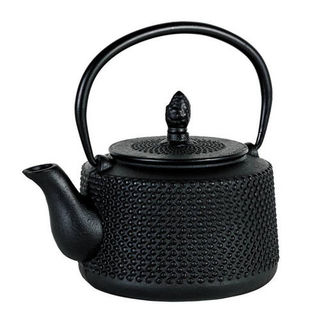 Cast Iron Japanese Tea Pots
