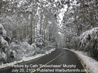 Snow on road to Mt Donna Buang - July 2013