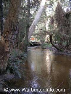 Big Pats Creek - About 7kms from Warburton Post Office