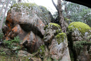 Skull rocks on Mt Donna Buang? Posted 9 May 2016
