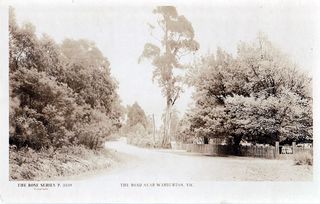 The road near Warburton Vic - The Rose Series Postcard 3539