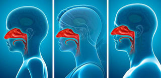 Why Turbinate, Adenoid, and Tonsil Surgery  Should Be a Last Resort, Not the First