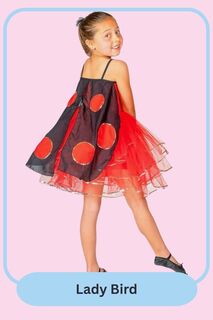 Lady Bird