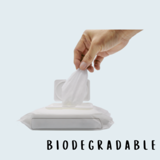 Biodegradable Baby Wipes