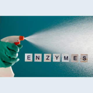Enzyme based cleaning products