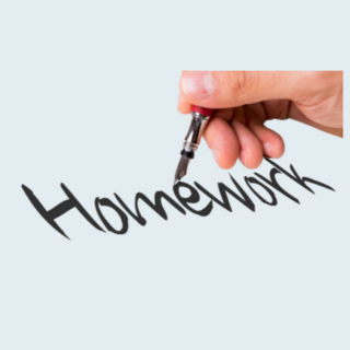 Homework Bags