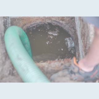 Septic Tank Safe Cleaning Products | Effective | Buy Online