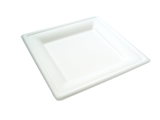 Square Plate 20x20cm Bagasse, Carton 500 - Vegware