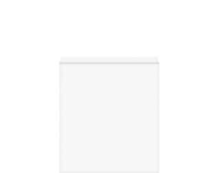 White Paper Bags #8 Flat 255x360 - Castaway