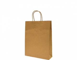 Paper Carry Bag with Twisted Paper Handle, Small, Brown 260x340x80 - Castaway