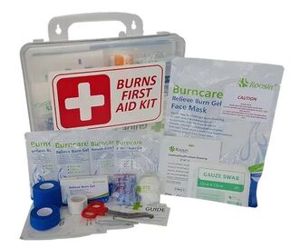 Premium Essentials Burns Industrial First Aid Work Place First Aid Kit Clear Plastic Wall Mountable - DTS Medical