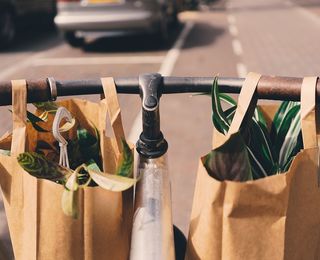 Are paper bags better for the environment?