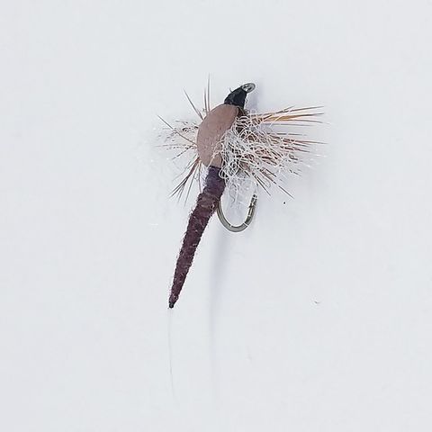 Dry Fly #34