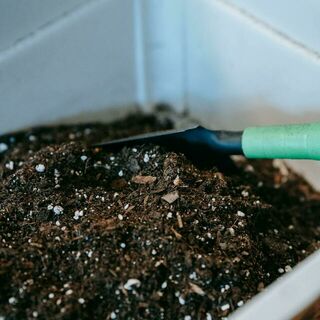 Garden Stuff | Grow From Here