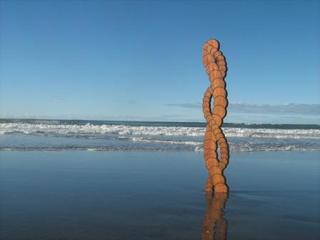 Entwine