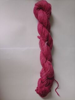S024 Plum