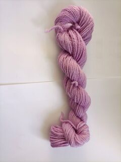 S028 Sorbet
