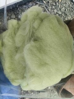 Green Dyed Carded Alpaca Fibre