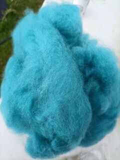 Aqua  NZ Alpaca carded fibre