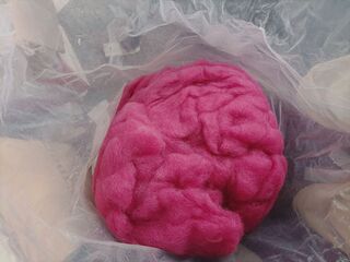 Carded Alpaca - Plum