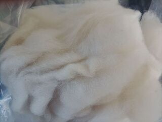 Light Fawn Carded Fibre by Vianca