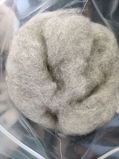 Light Grey Carded Fibre by Silver Lily