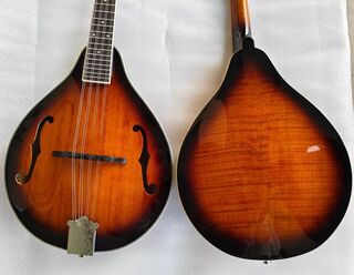 Mandolin Maple