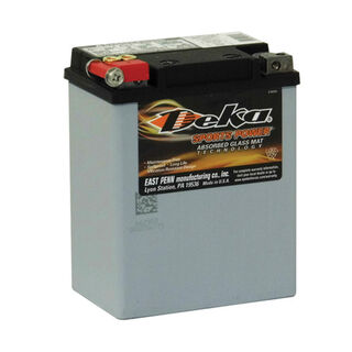 ETX15 14a/h 220/325cca Dry Cell BIG ENGINE Motorcycle battery