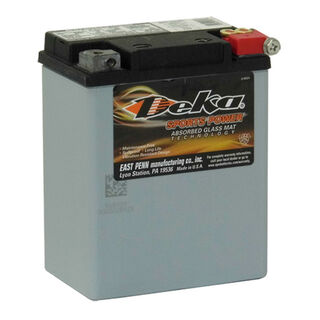 ETX15L 14a/h 220/325cca Dry Cell BIG ENGINE Motorcycle battery