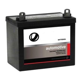 12N24/3HP HIGH-POWERED ULTRA LAWNMOWER BATTERY from USA