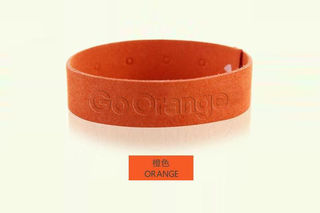 Insect Repellent Wristband