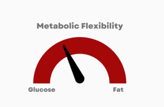 Metabolic Flexibility: Why Timing Your Meals Matters as Much as What You Eat