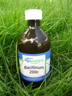 Bacillinum 200c DC