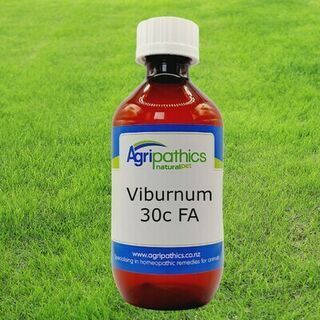 Viburnum 30c FA