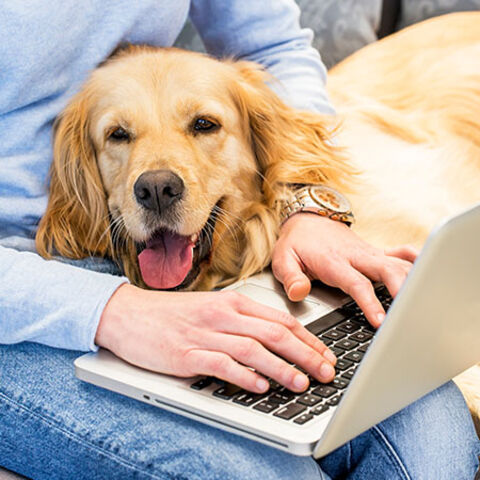 Follow up Consulation