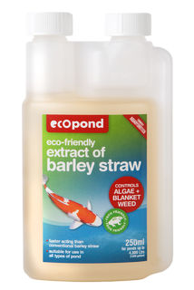 Extract of Barley Straw