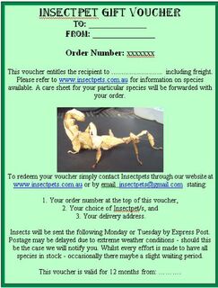 Gift Vouchers Available, Pet Stick Insects