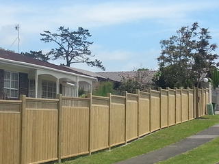 Dressed Oriental Top Fence With Matching Gate