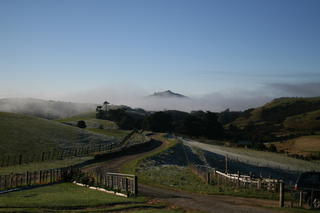 Akaroa Peak on a misty morning