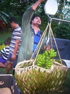 Weighing misiluki bananas