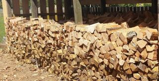 Casuarina/She-Oak Firewood