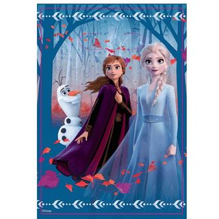Disney Frozen 2 Loot Bags - 8 Pack